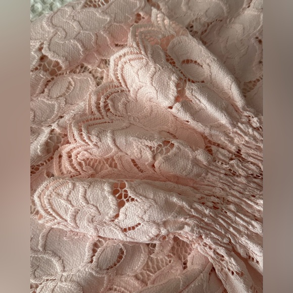 Free People Tops - Free People Olivia Balloon Sleeve Lace Blouse / Soft Pink / Size Small